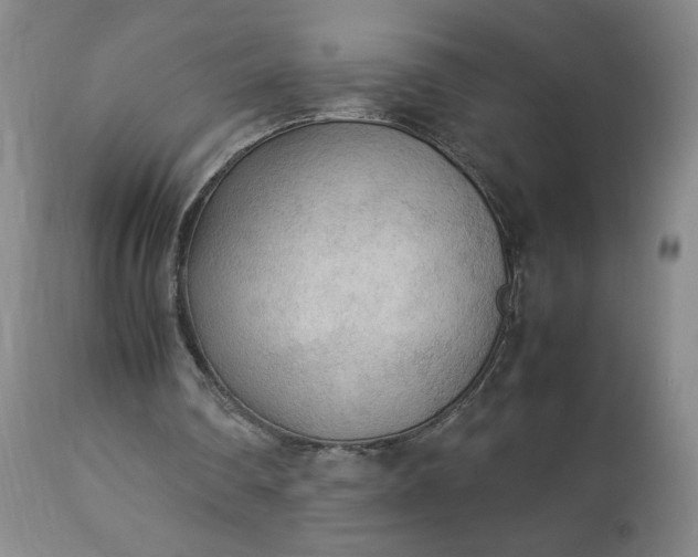 X0000113220290200909241454