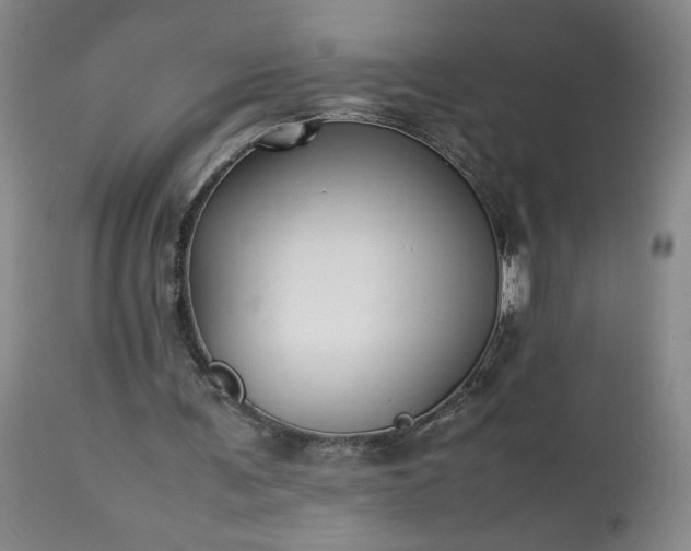 X0000113220291200909241454