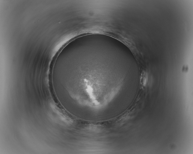 X0000113220292200909241454