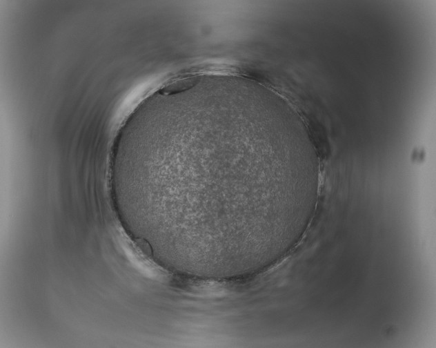 X0000113220293200909241454