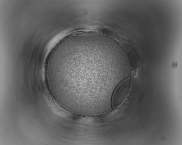 X0000113220294200909241454