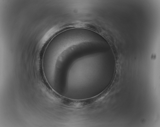 X0000113220295200909241454