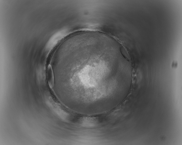 X0000113220296200909241454