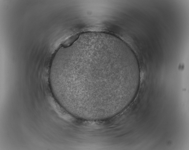 X0000113220297200909241454