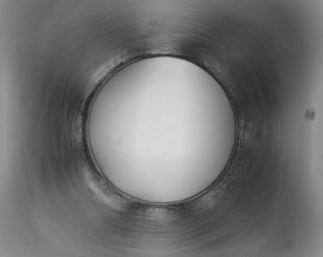 X0000113220298200909241454