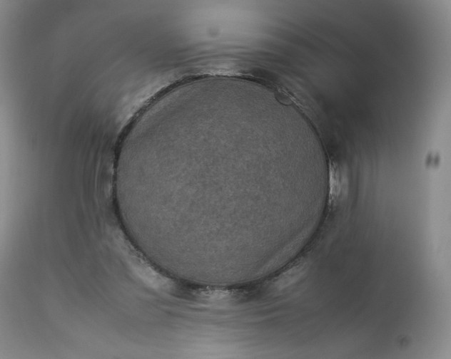 X0000113220301200909241454