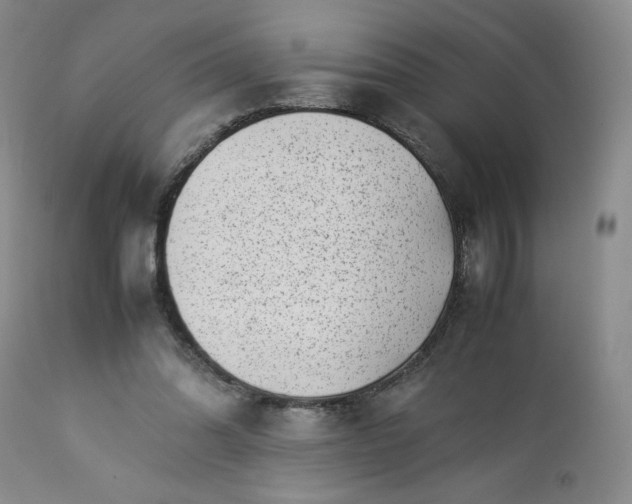 X0000113220302200909241454