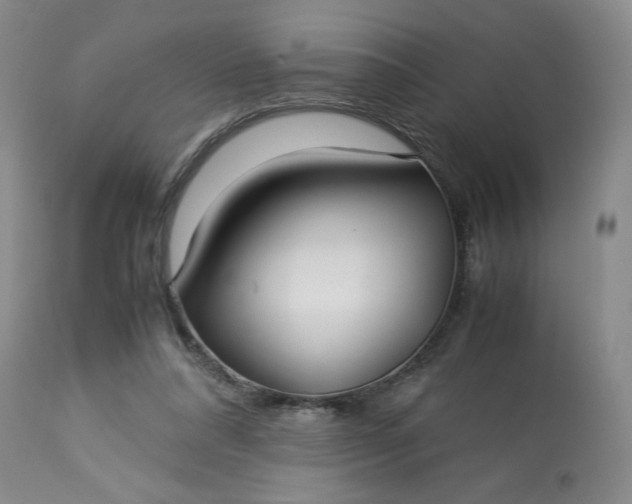 X0000113220304200909241454