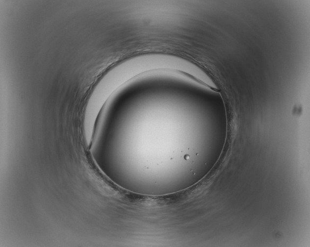 X0000113220305200909241454