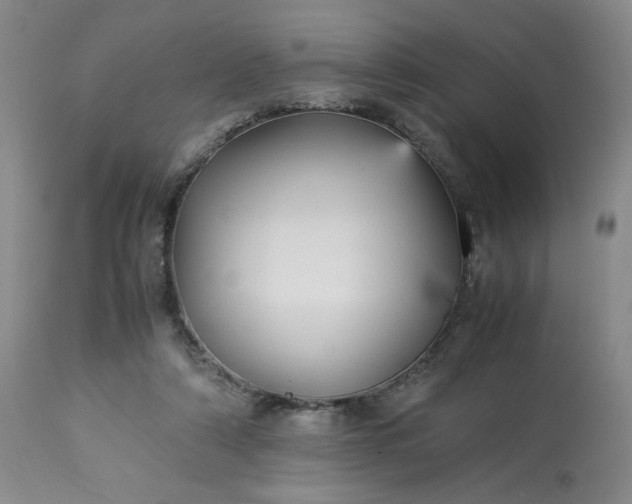 X0000113220306200909241454