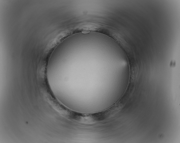 X0000113220309200909241454