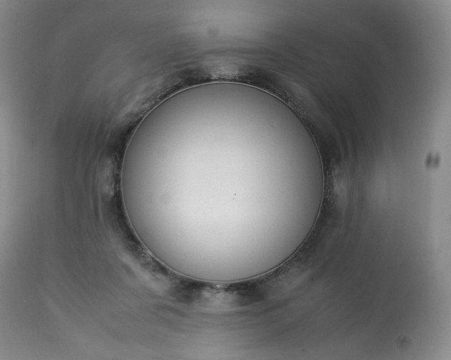 X0000113220311200909241454