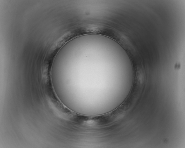 X0000113220312200909241454