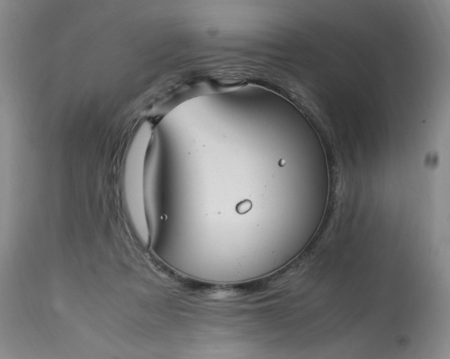 X0000113220313200909241454