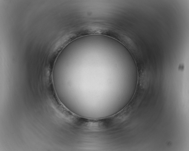 X0000113220314200909241454