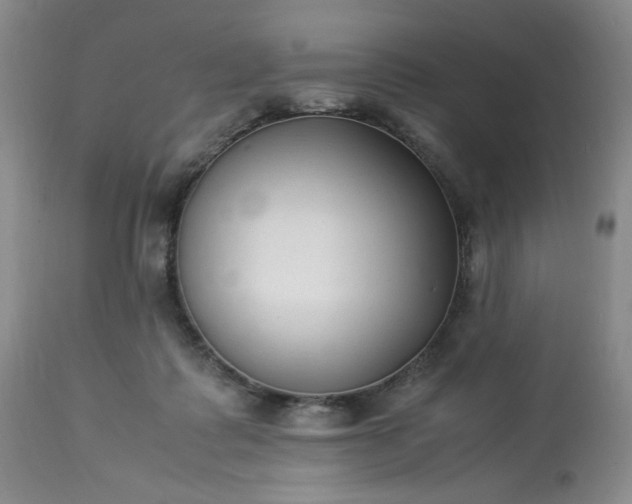 X0000113220315200909241454