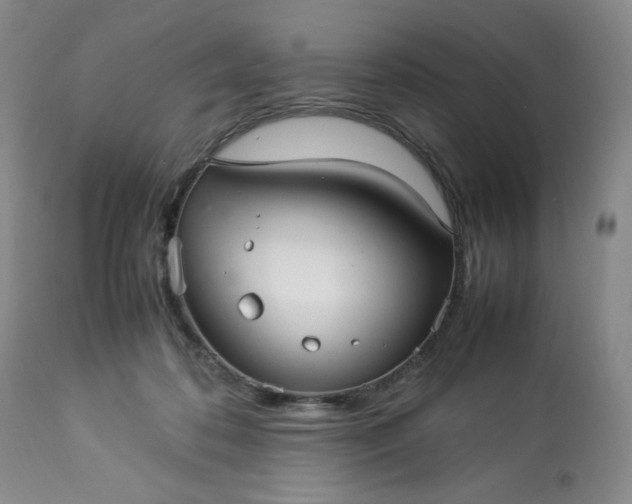 X0000113220316200909241454