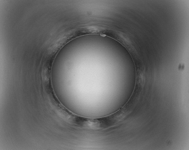 X0000113220317200909241454