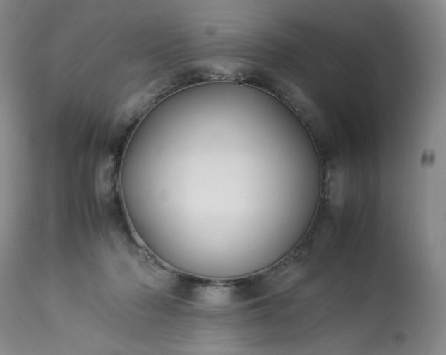 X0000113220318200909241454