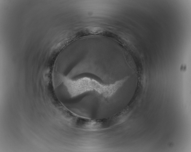 X0000113220319200909241454