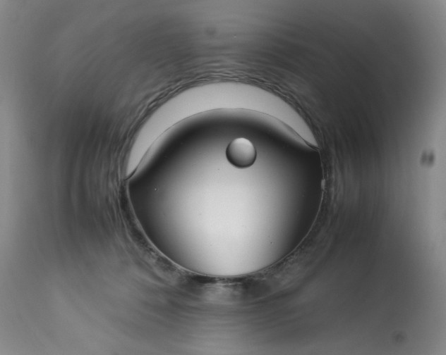 X0000113220320200909241454