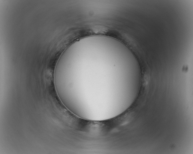 X0000113220321200909241454