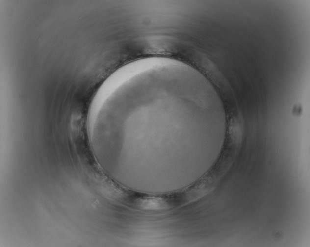 X0000113220322200909241454