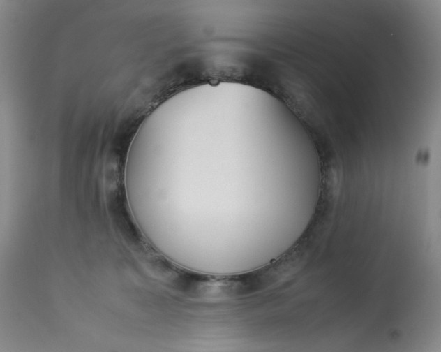 X0000113220323200909241454