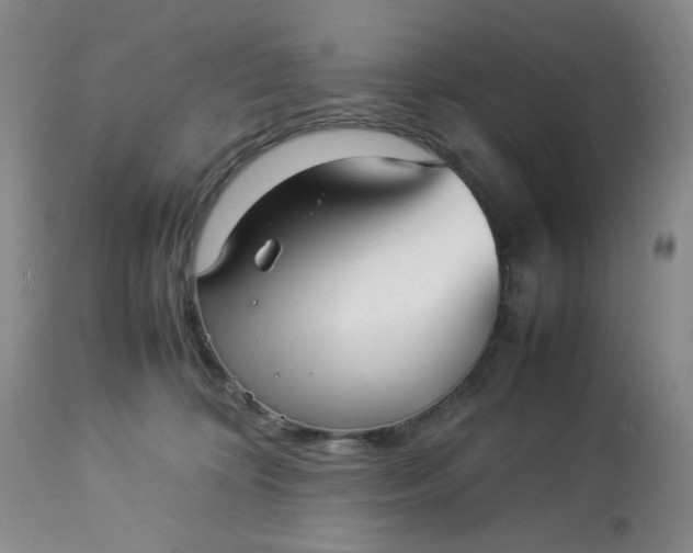 X0000113220324200909241454