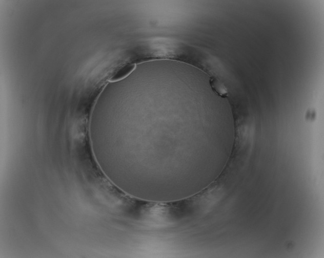 X0000113220325200909241454