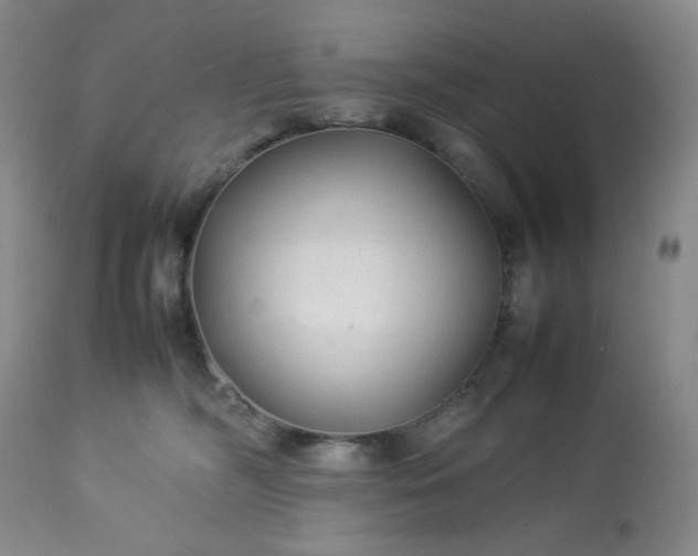 X0000113220326200909241454