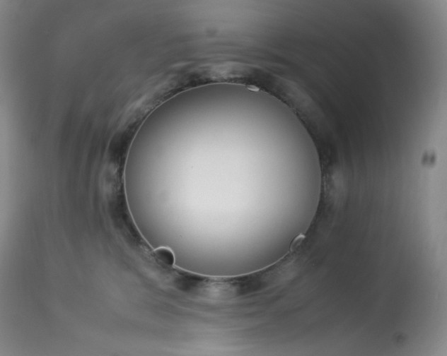 X0000113220327200909241454