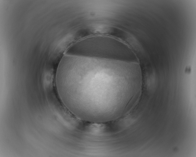 X0000113220328200909241454