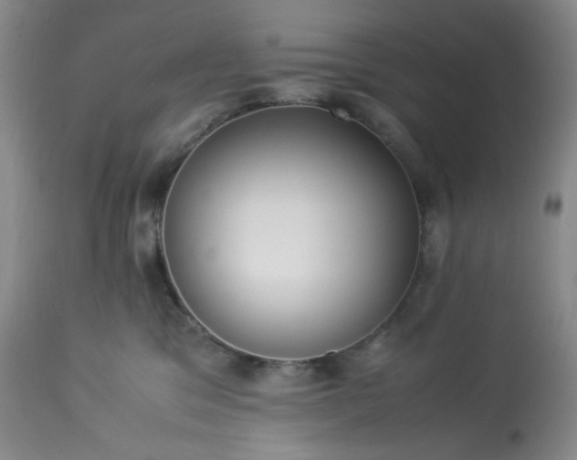 X0000113220329200909241454