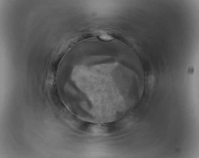 X0000113220331200909241454