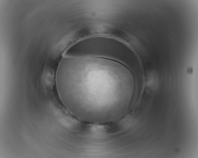 X0000113220332200909241454