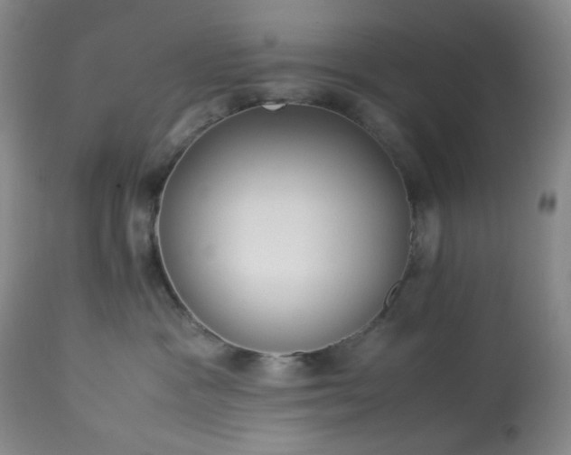 X0000113220333200909241454