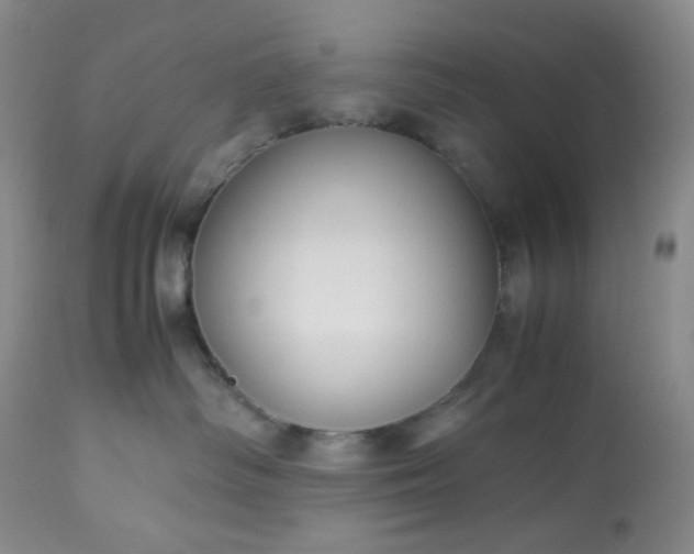 X0000113220334200909241454