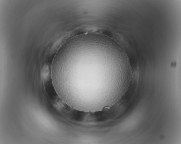 X0000113220335200909241454