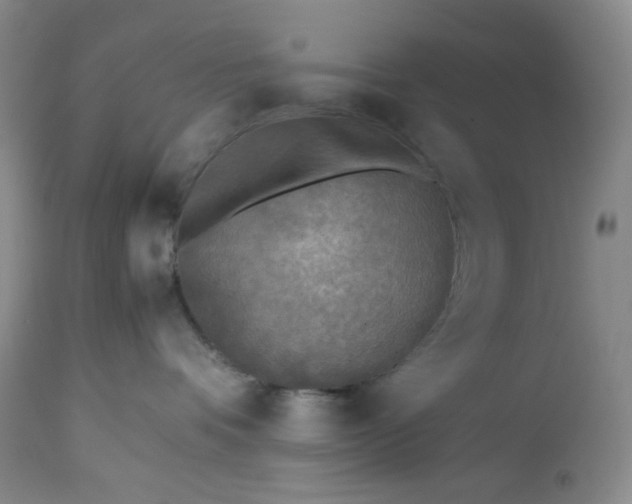 X0000113220336200909241454