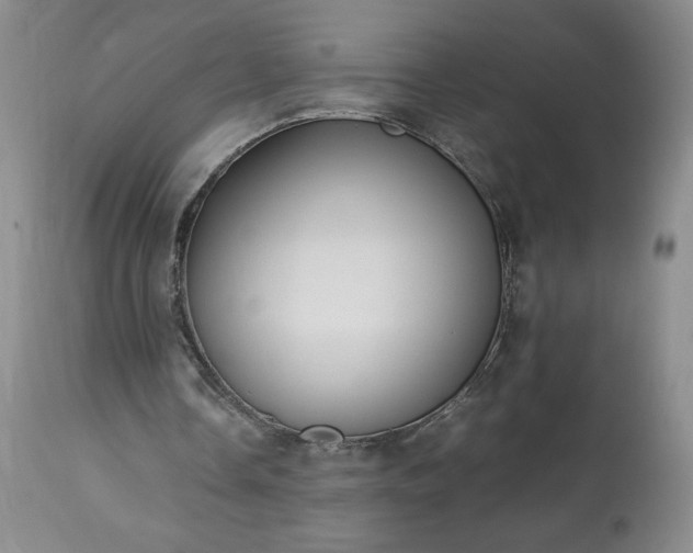 X0000113220338200909241453