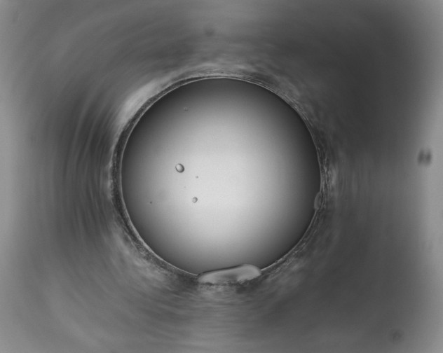 X0000113220340200909241453