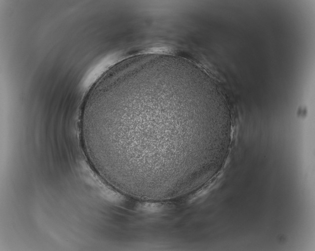 X0000113220341200909241453