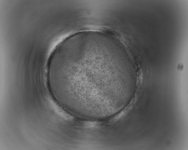 X0000113220342200909241453