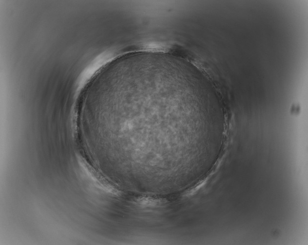 X0000113220343200909241453