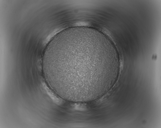 X0000113220345200909241453