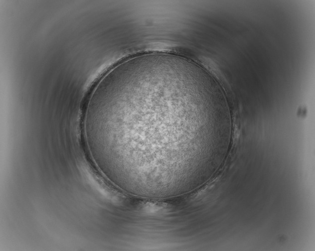 X0000113220346200909241453