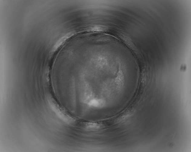 X0000113220347200909241453