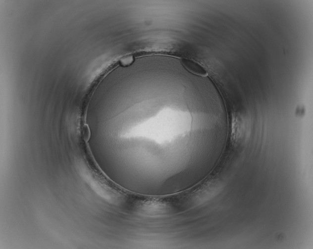 X0000113220348200909241453