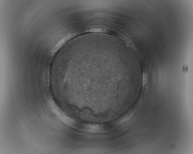 X0000113220349200909241453